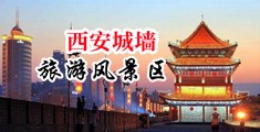 欧洲大屌狂操无毛B视频中国陕西-西安城墙旅游风景区